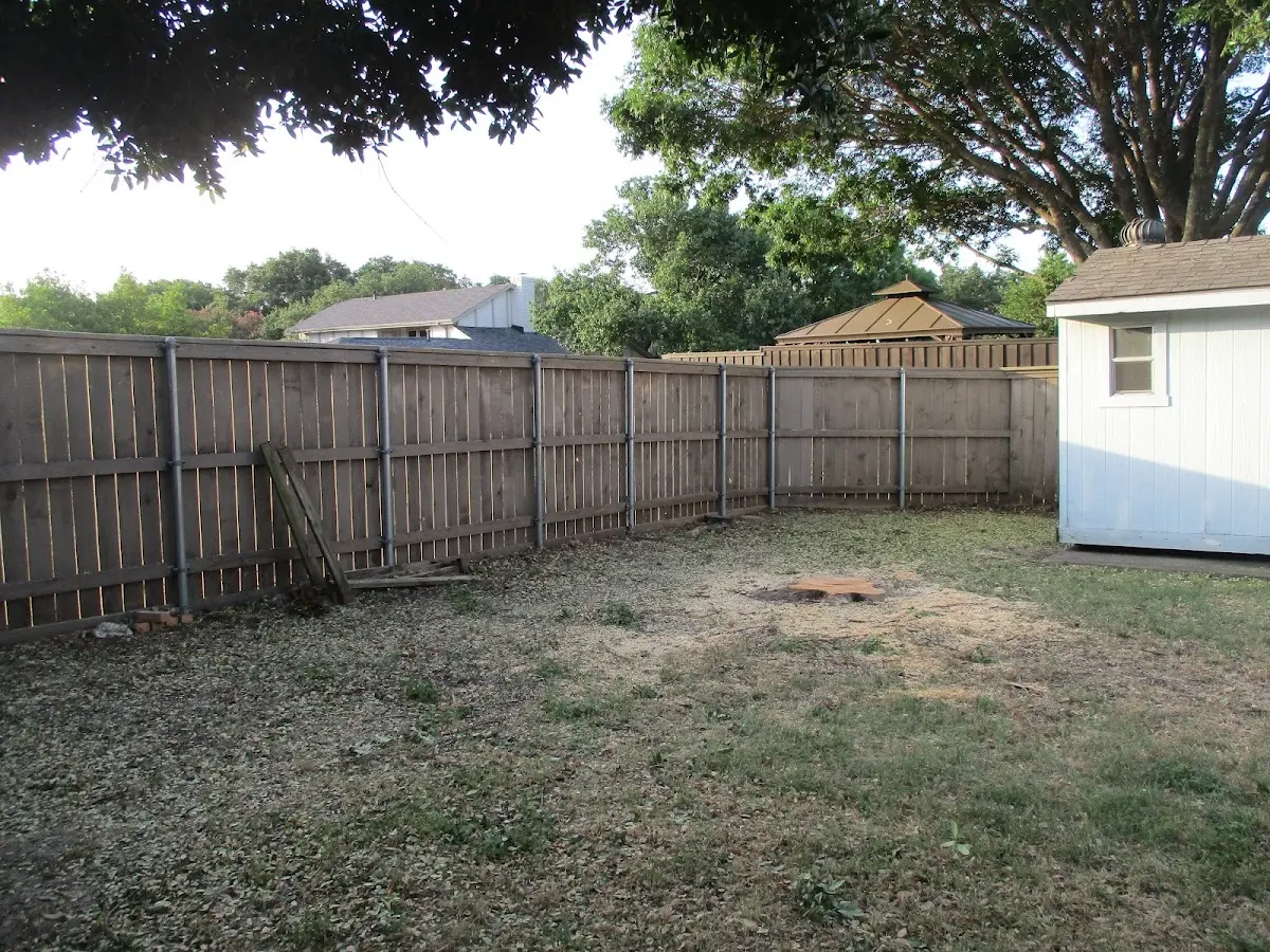 Cleared yard after professional tree removal in Toomsboro