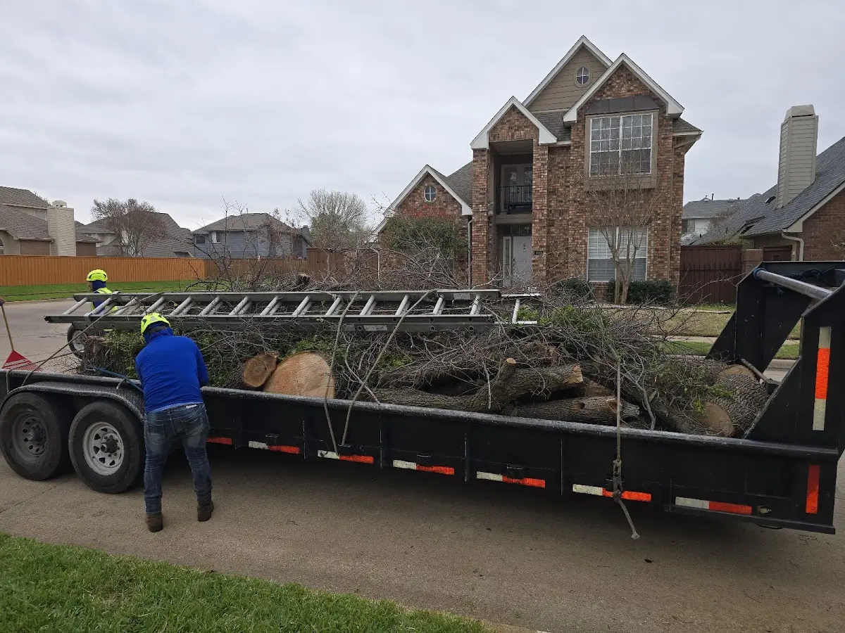 Expert Tree Removal with proper safety equipment in Toomsboro